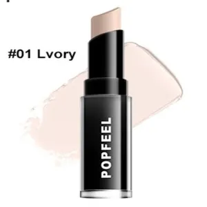 4 Color Concealer