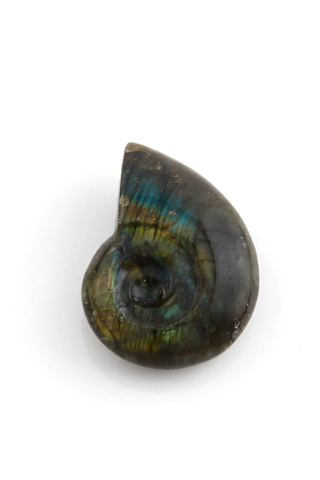 Ammonite Shaped Labradorite