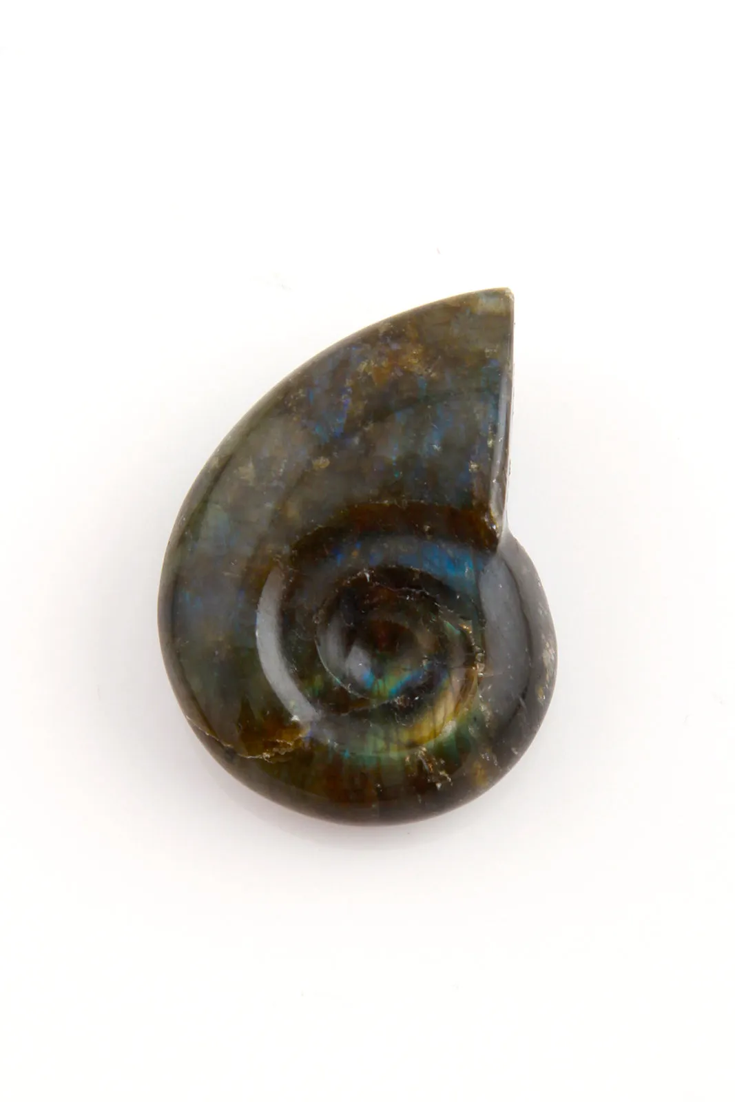 Ammonite Shaped Labradorite