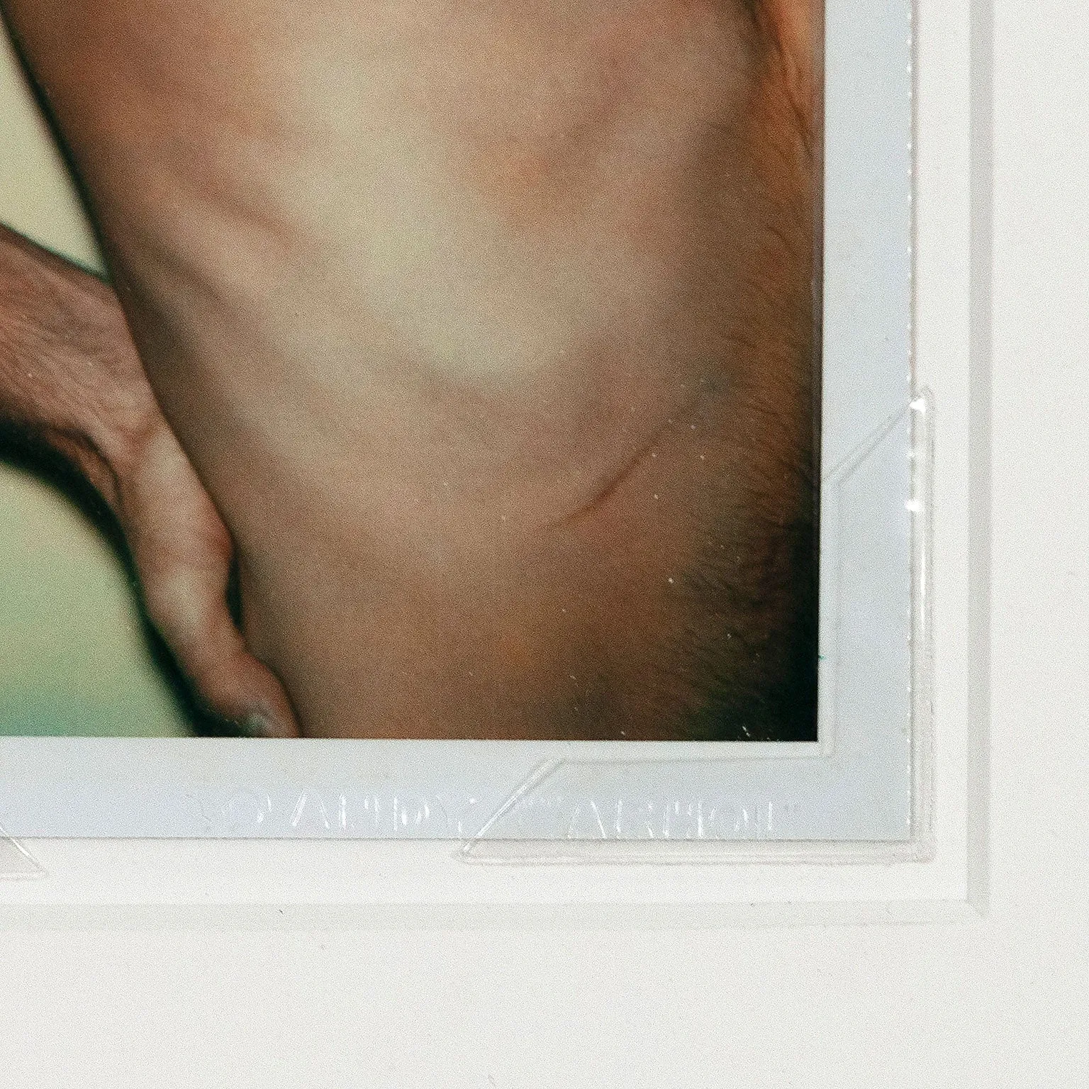 ANDY WARHOL "TORSO X" POLAROID, 1977
