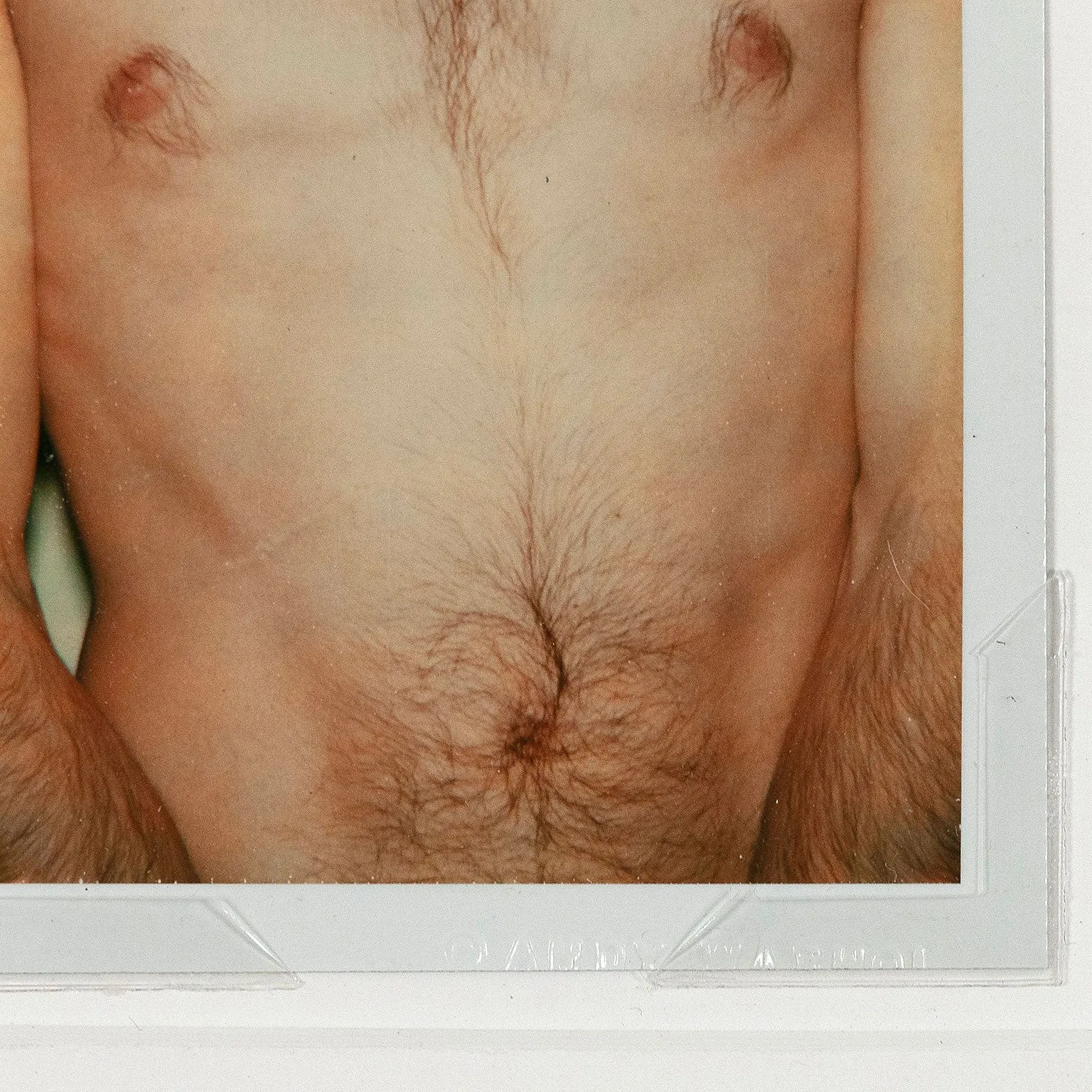 ANDY WARHOL "TORSO" POLAROID, 1977