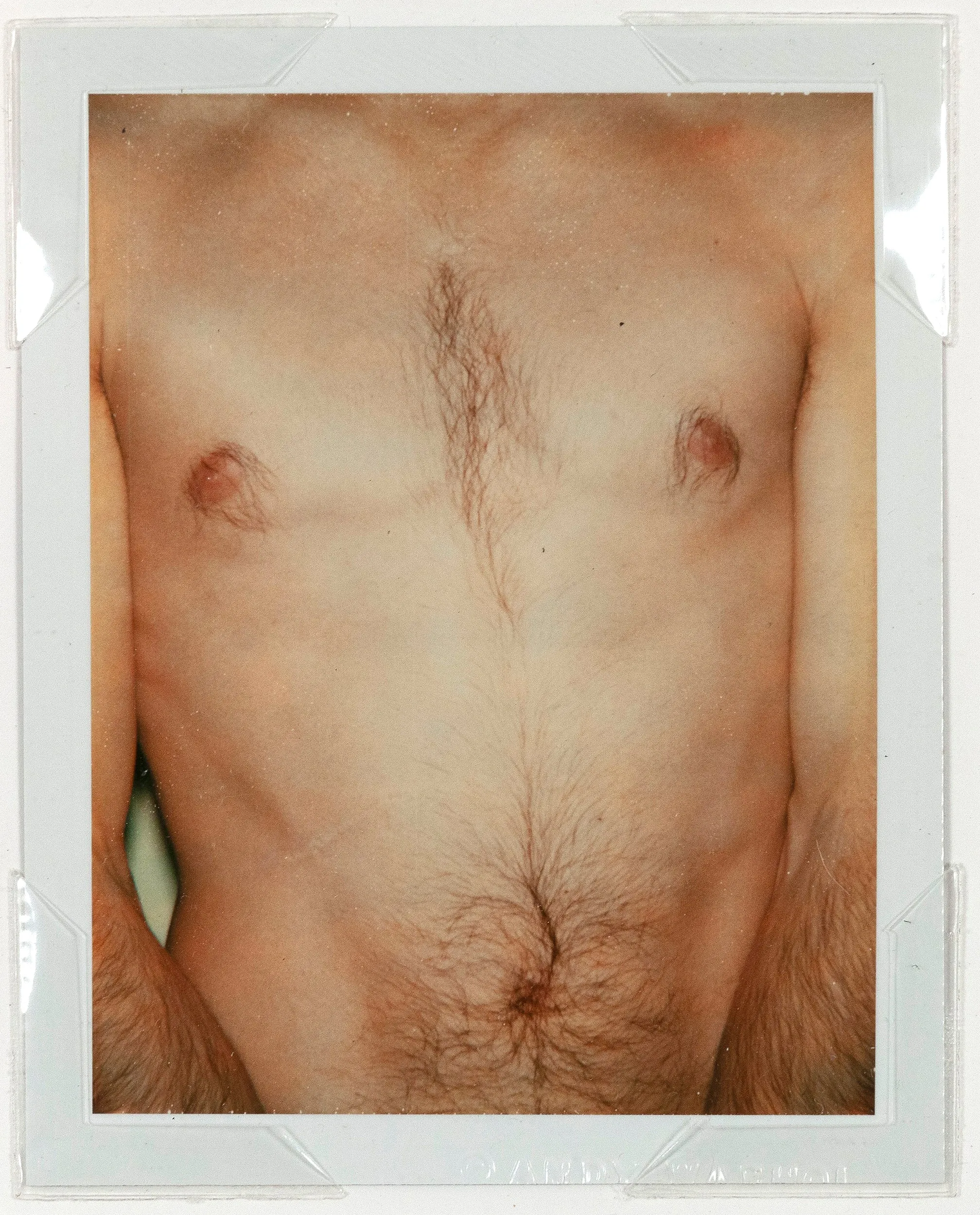 ANDY WARHOL "TORSO" POLAROID, 1977