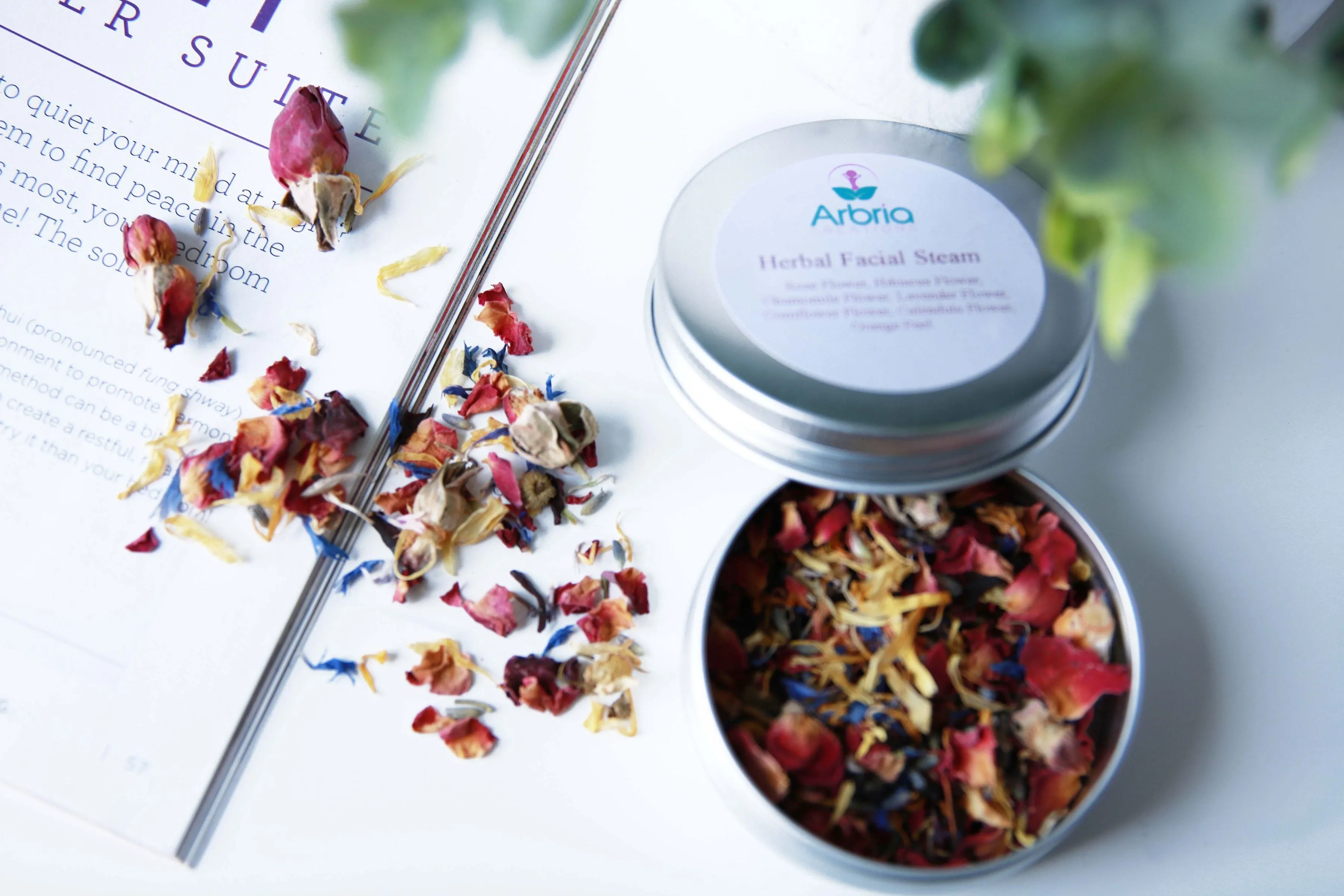 Arbria's Mini Plant Based Facial Ritual   Travel