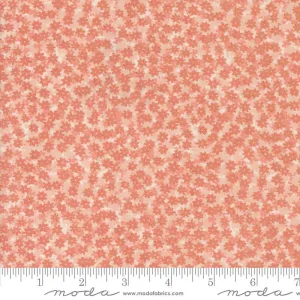 Bee Garden by Moda Fabrics FLORAL PHASE/CARNATION