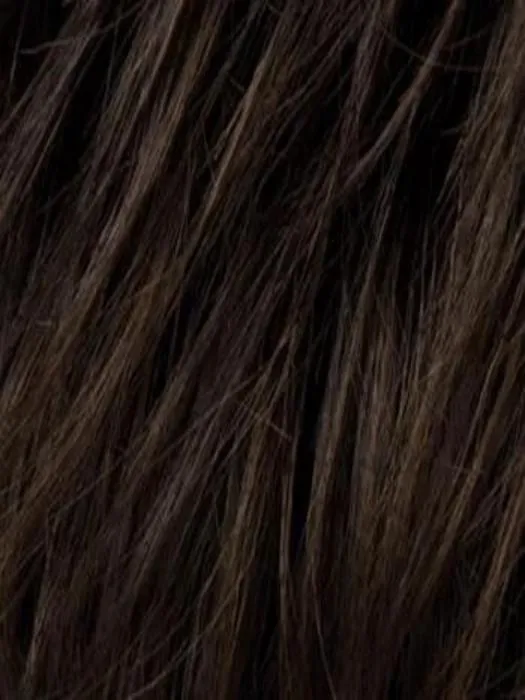Cher | Hair Power | Heat Friendly Synthetic Wig