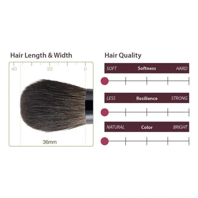 Chikuhodo Z-4 Cheek/Highlight Brush, Z Series