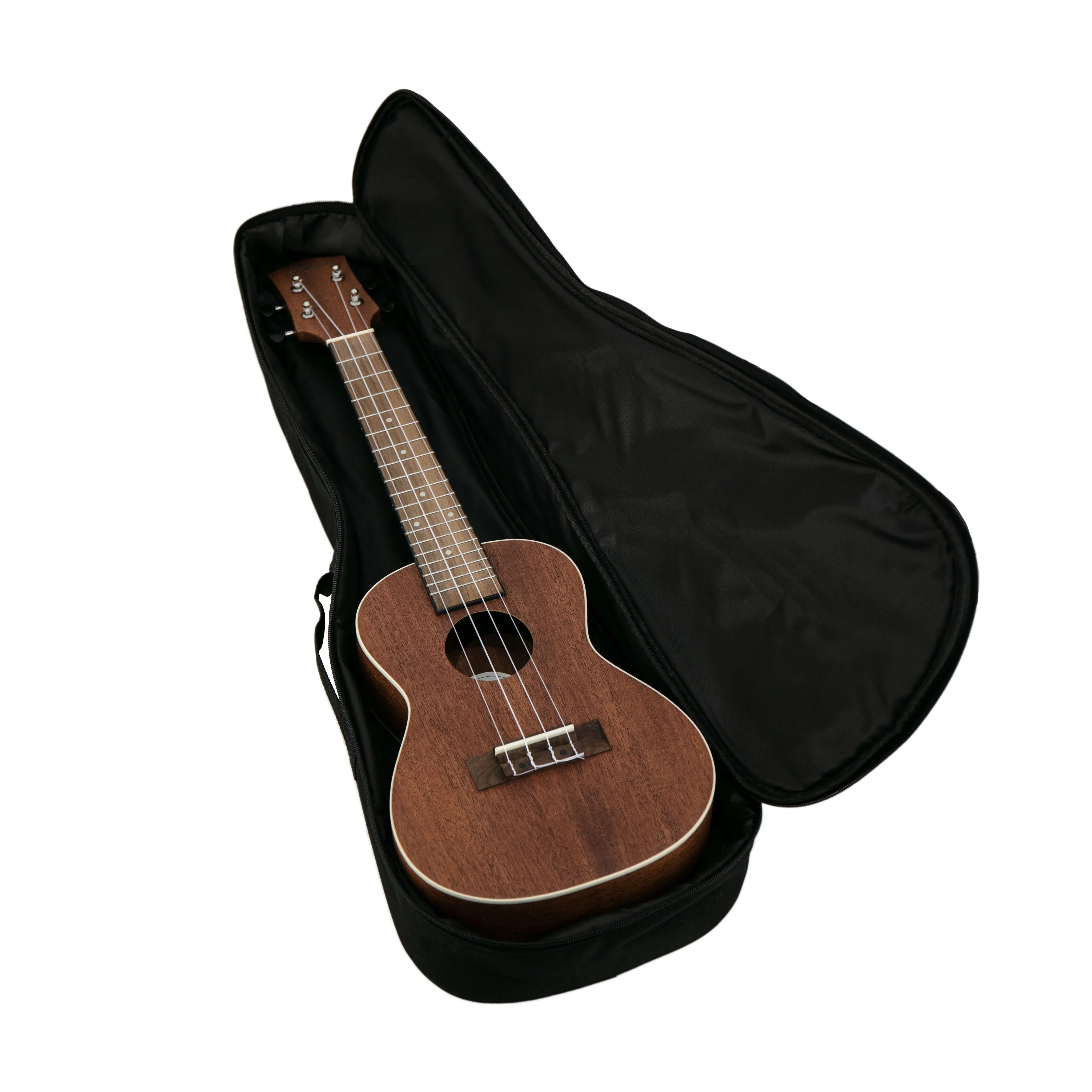 Harmony Foundation Series e-Sierra Concert Ukulele w/Bag, Natural Satin