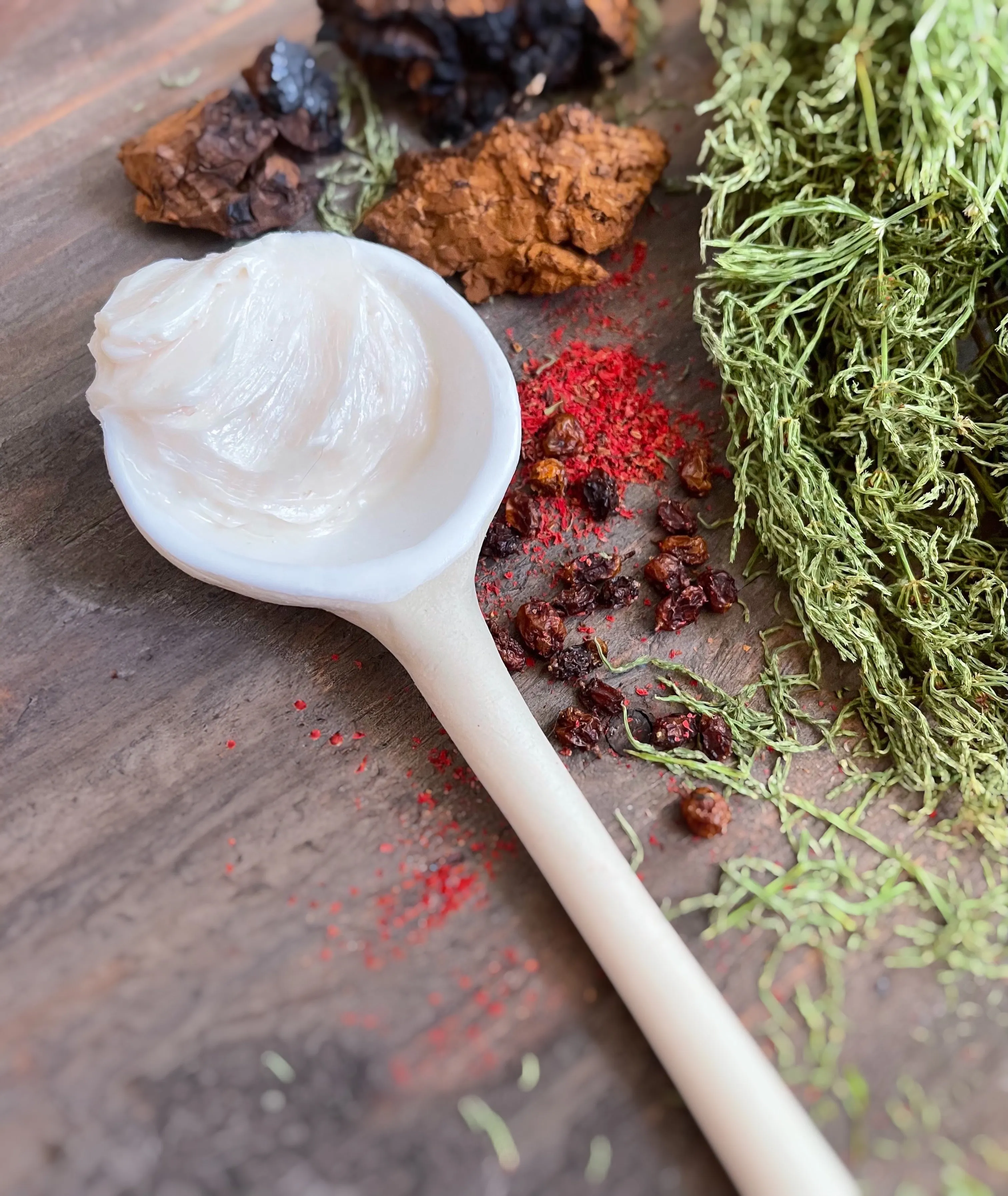 Herbal & Wild Mushroom Nourishing Face Cream