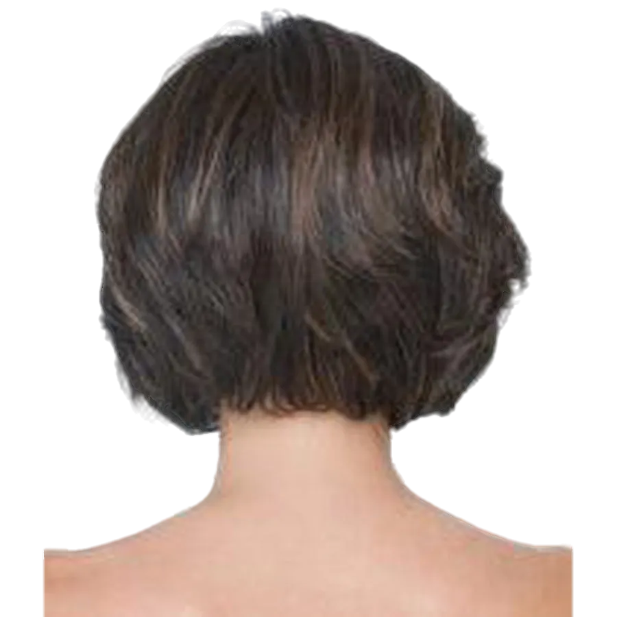 IN CHARGE - Wig by Raquel Welch
