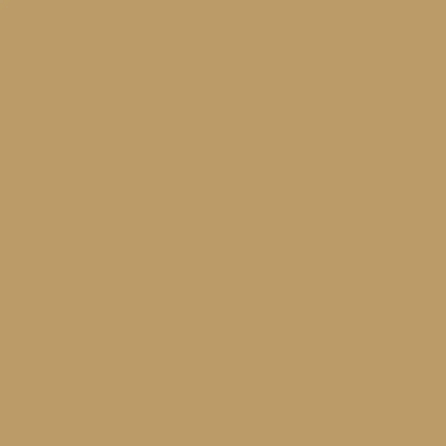 Kelley Baker Tinted Brow Gel