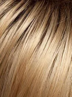 Love Love Love by Raquel Welch | Lace Front Wig | CLOSEOUT