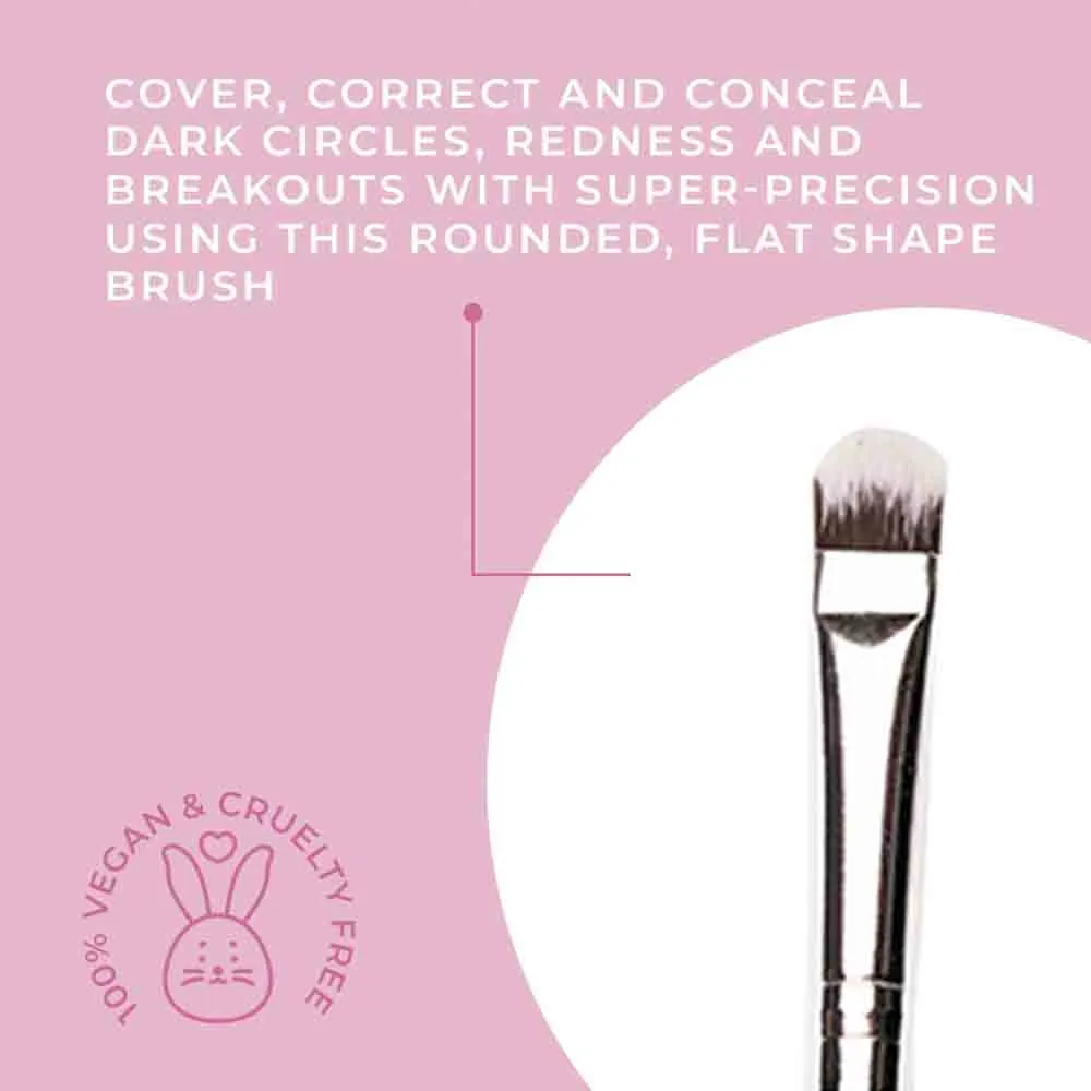 P18 - Concealer application/spot correction brush