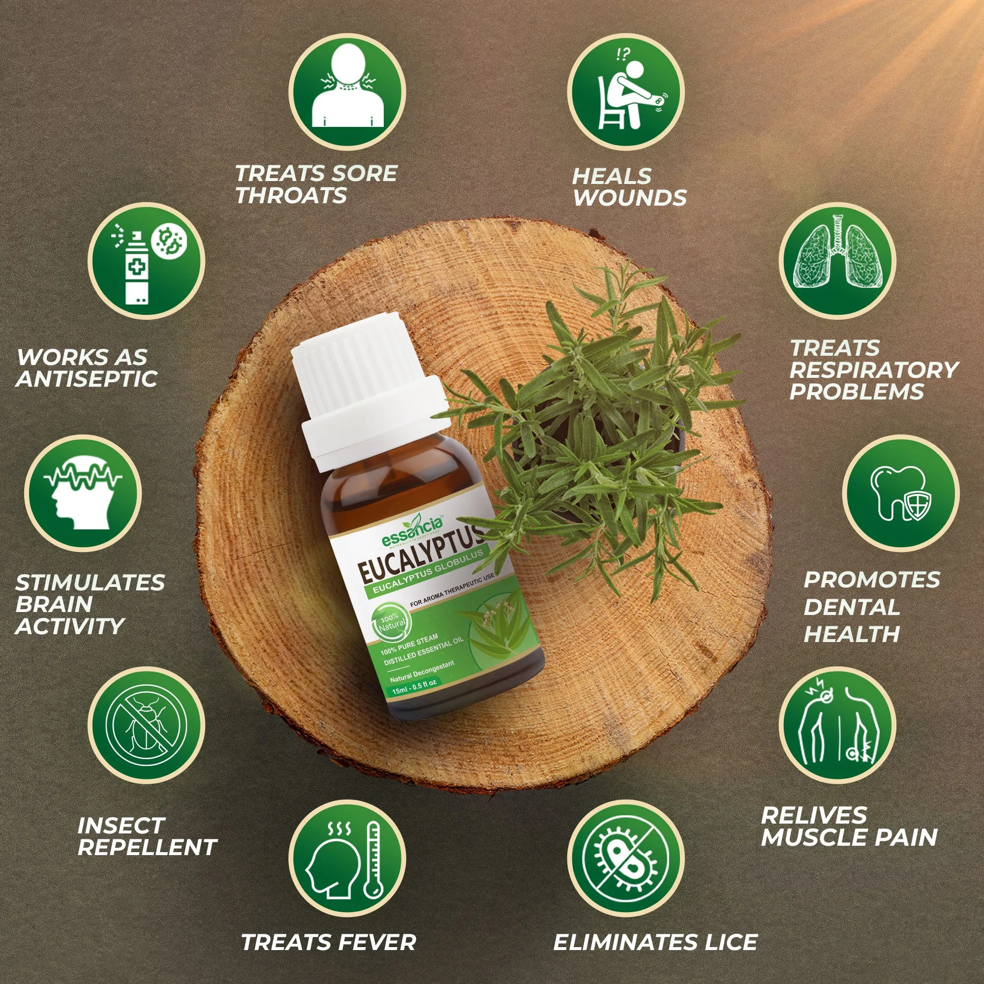 Pack of 10 Essential & Carrier Oils (Tea Tree, Lavender, Orange, Peppermint, Eucalyptus, Rosemary & Jojoba, Argan, Avocado, Rosehip)
