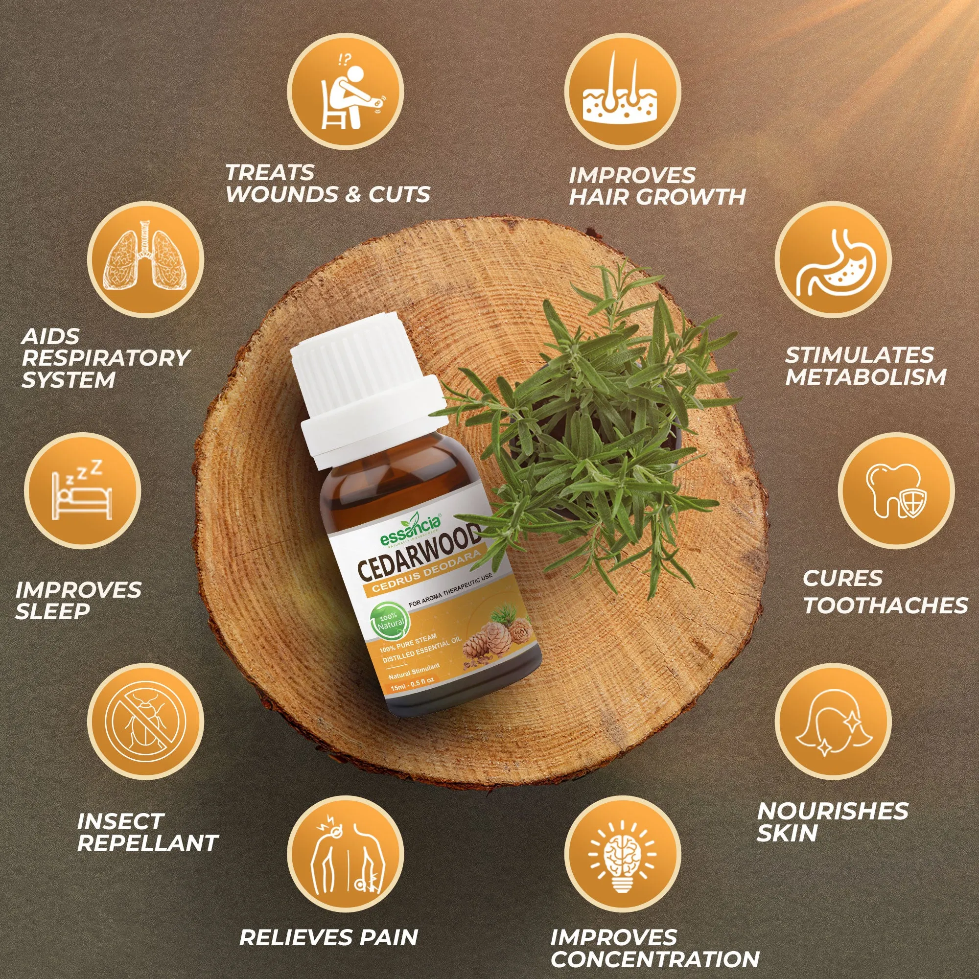 Pack of 5 Essential & Carrier Oils (Tea Tree, Lavender, Cedarwood, Argan, Jojoba)
