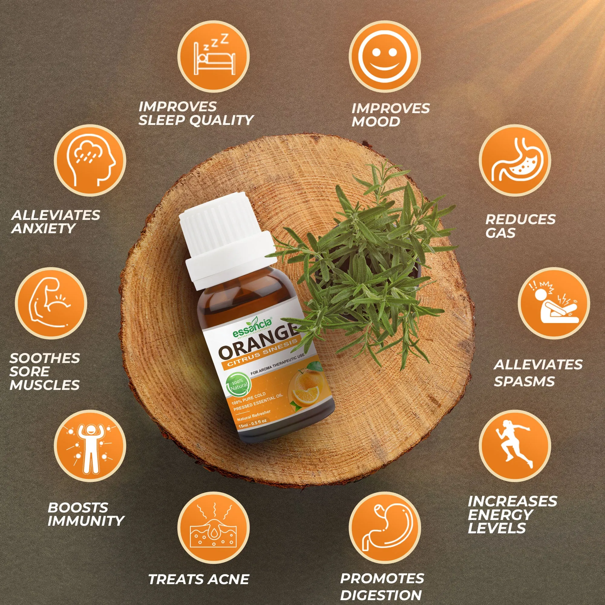 Pack of 5 Essential & Carrier Oils (Tea Tree, Lavender, Orange, Argan, Rosehip)