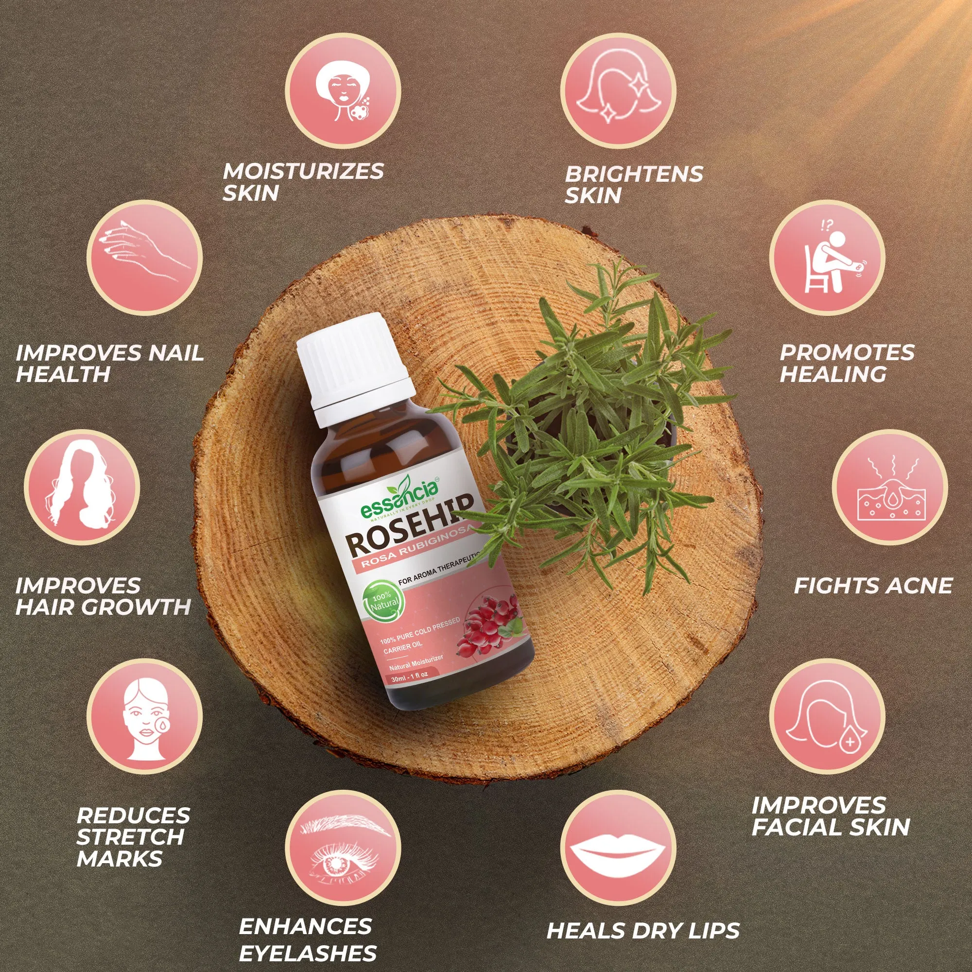 Pack Of 6 Carrier Oils (Avocado, Grape Seed, Argan, Rosehip, Jojoba, Apple Seed)