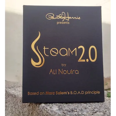 Paul Harris Presents Steam 2.0 by Ali Nouira
