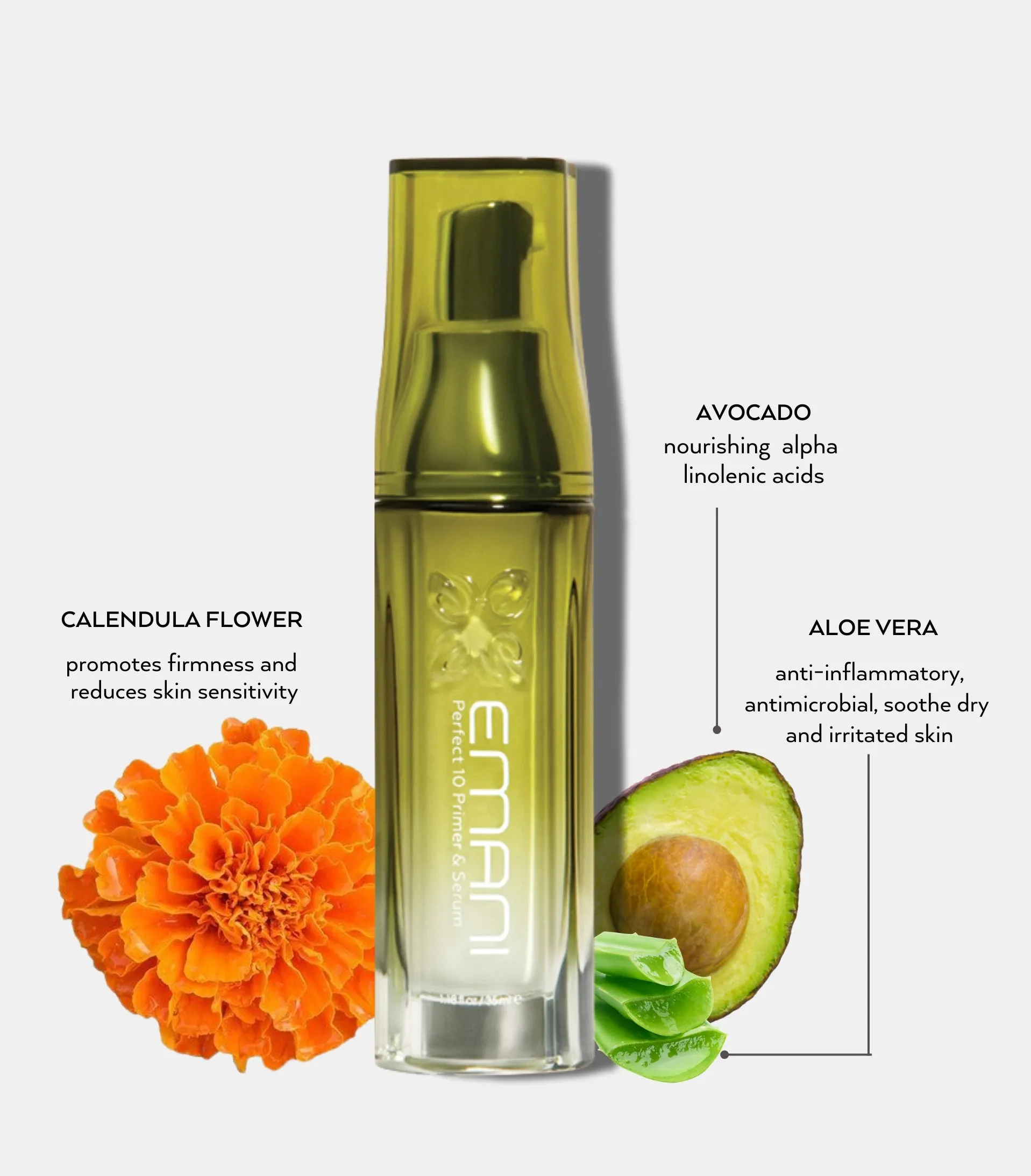 Perfect10 Primer