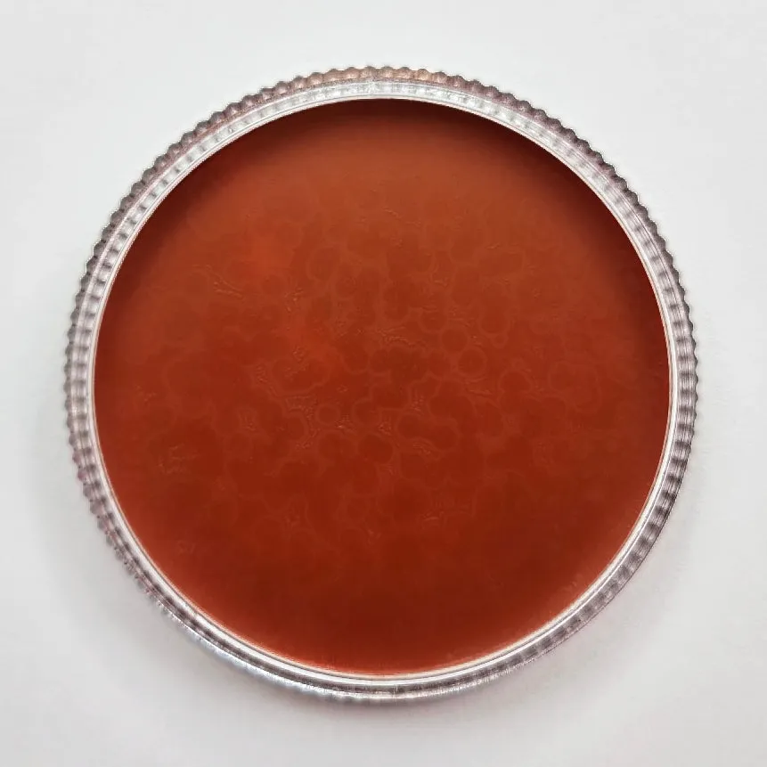 "DIRTY TALK" Oil-Based Face paint Large Single 30g