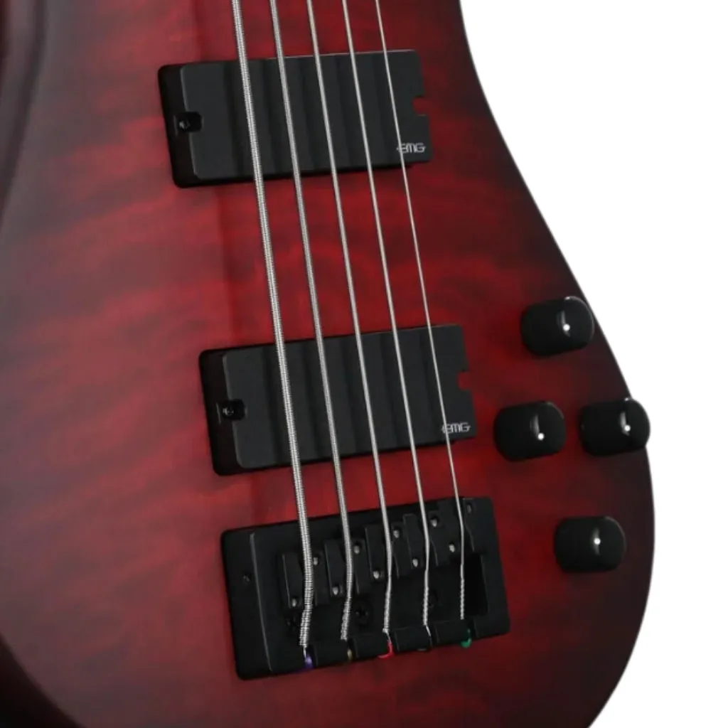 Spector Pulse 5 Bass Guitar - Black Cherry Matte