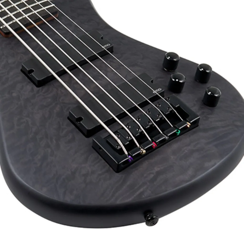 Spector Pulse 6 Bass Guitar - Black Stain Matte