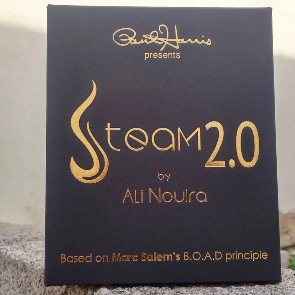 STEAM 2.0