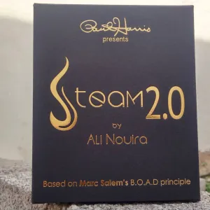 STEAM 2.0