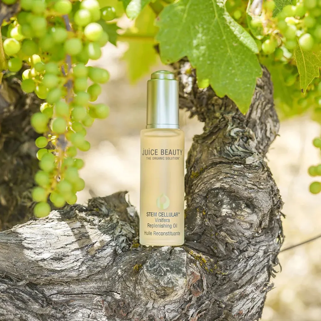 Stem Cellular Vinifera Replenishing Oil
