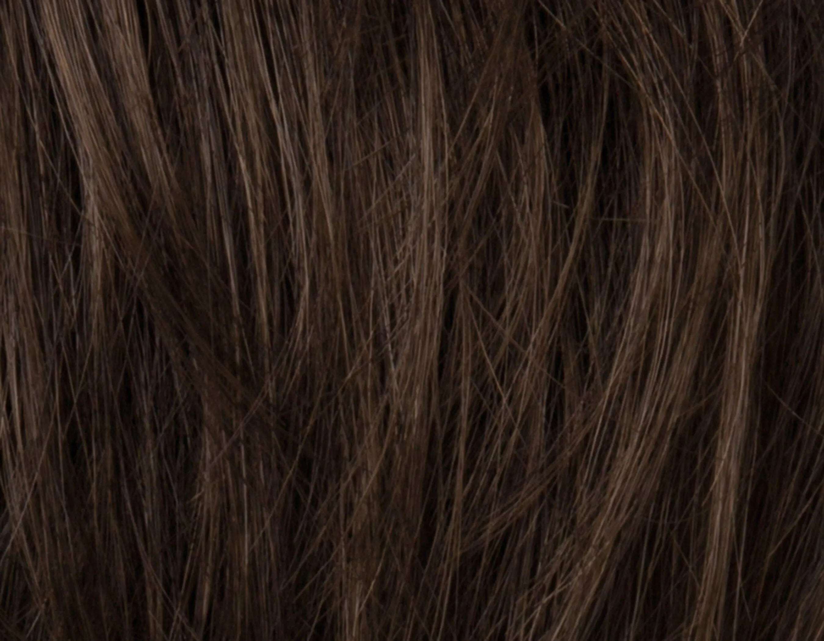 Steven Sport 2.0 | HAIRforMANce