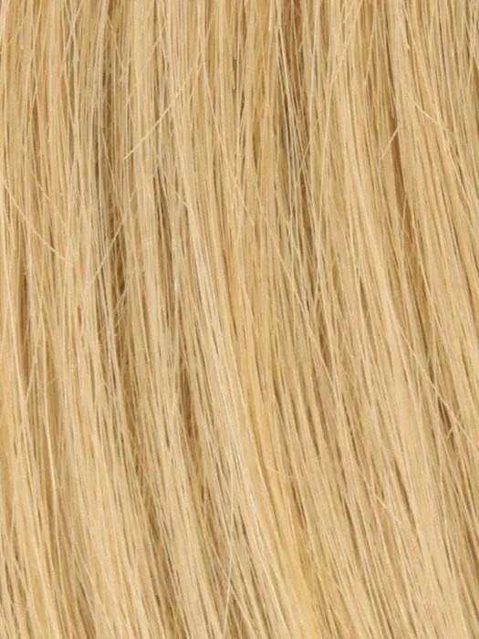 Toppiece 4004 by Louis Ferre | Human Hair Topper (Mono Base) | CLOSEOUT