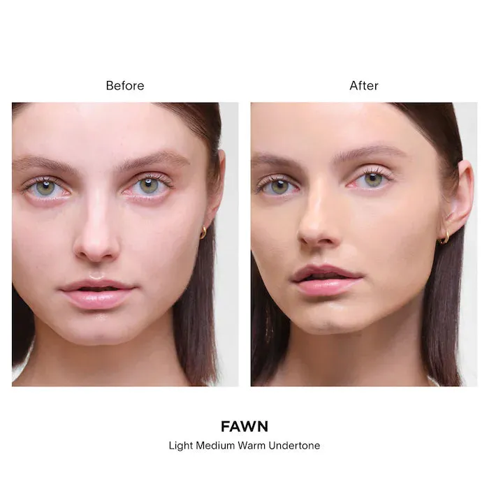 Vanish Airbrush Concealer