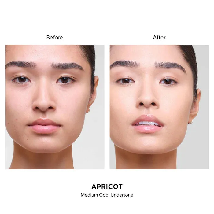 Vanish Airbrush Concealer