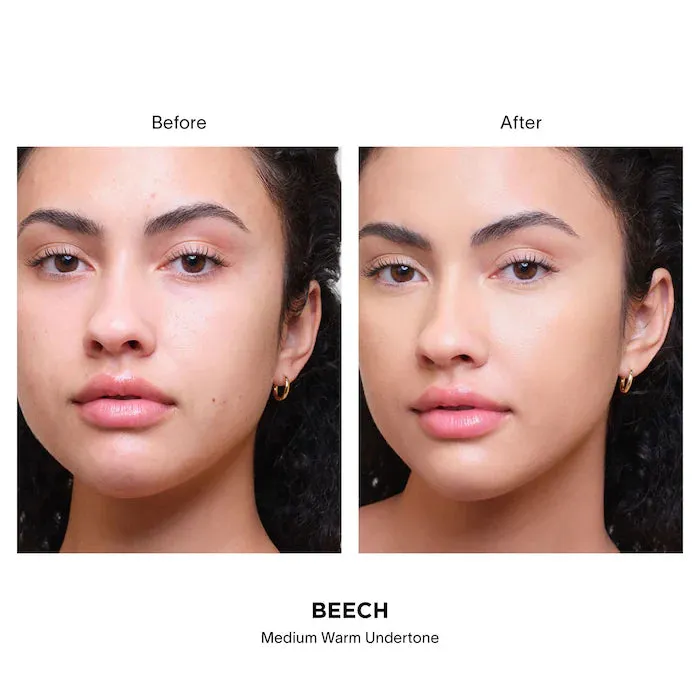 Vanish Airbrush Concealer